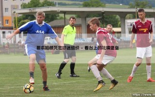 哥本哈根死忠球迷组织的守望与呐喊