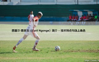 西里尔·恩贡戈（Cyril Ngonge）简介-足坛风向标