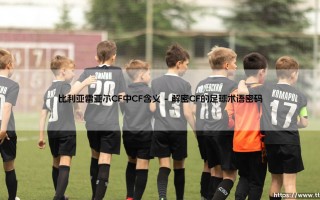 黄色潜水艇的密码：比利亚雷亚尔CF中CF含义解析？揭秘足球俱乐部名称背后的故事