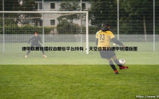 德甲联赛转播权由哪些平台持有？一文带你了解观赛渠道