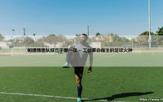 帕德博恩队成立于哪一年？这支德甲黑马的百年基因密码是什么