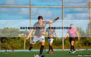 英超冬窗转会作用小？（足球那些事儿）