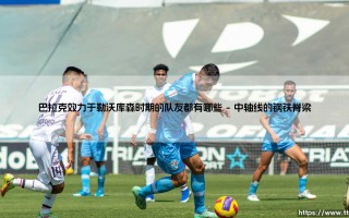 巴拉克的勒沃库森岁月：追寻与他并肩作战的队友名录与传奇篇章