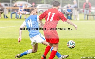 桑德兰队10号球员是谁？揭秘「光明球场」的传奇号码主人-桑德兰10号的秘密档案