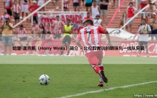 哈里·温克斯（Harry Winks）简介攻略