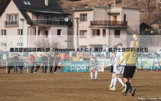 雷克瑟姆足球俱乐部（Wrexham A.F.C.）是什么？——「红龙军团」的百年传奇与重生