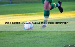 法昆多·科利迪奥：从阿根廷新星到欧洲赛场的探索者