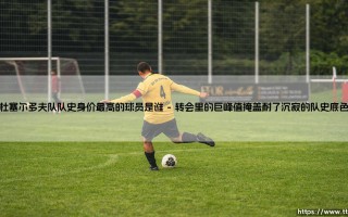 杜塞尔多夫队队史身价最高的球员是谁：揭秘杜塞尔多夫队队史身价最高的球员如何改写俱乐部命运