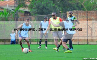 2021赛季挪超有多少支球队？带你揭秘挪威足球顶级联赛