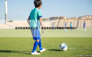 足球奖金条款怎么写的全面指南：足球奖金条款怎么写的核心要点