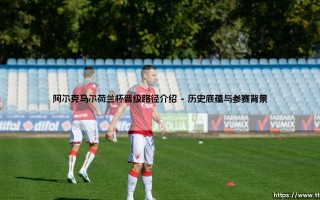 阿尔克马尔荷兰杯晋级路径介绍：解析阿尔克马尔的荣耀征程