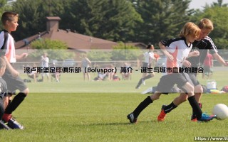 波卢斯堡足球俱乐部（Boluspor）简介——天体足球