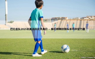 巴拉圭队2021年美洲杯球员身价解析：南美劲旅的价值密码