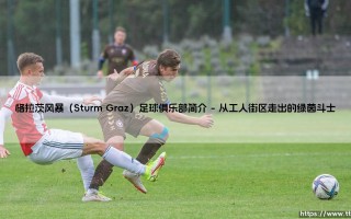格拉茨风暴（Sturm Graz）足球俱乐部：奥地利绿茵的叛逆灵魂与永恒回响