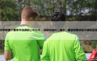 中甲联赛下赛季市场调研势在必行，携手专业市场调研公司合作共绘蓝图
