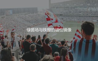 罗比尼奥为什么入狱？绿茵场与铁窗的错位镜像