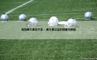 英冠黄牛票多不多？「深入探讨」：二级联赛的门票真的那么难求吗？