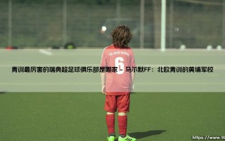 青训最厉害的瑞典超足球俱乐部是哪家？