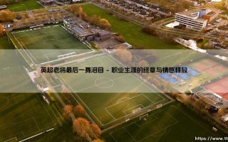 英超老将最后一舞泪目——每日足球