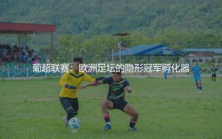 葡超是欧洲第几联赛？葡超联赛：欧洲足坛的隐形冠军孵化器