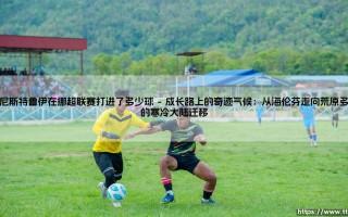 范尼斯特鲁伊在挪超联赛打进了多少球：一个冰冷数字背后，藏着怎样的风景？