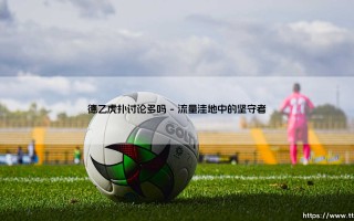 德乙虎扑讨论多吗？深度剖析德乙联赛在虎扑社区的热度真相