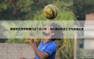 佩德罗在西甲联赛打进了多少球？