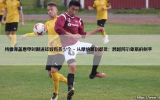 特雷泽盖意甲时期进球数有多少个？解密法国神锋的亚平宁传奇
