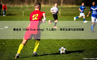 曹圭成是谁？深入解读韩国足球锋线新旗帜曹圭成的崛起之路