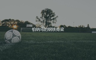 塞尔吉奥·拉莫斯在皇马效力了几个赛季？伯纳乌的钢铁脊梁