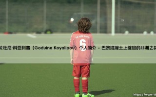戈杜尼·科亚利普：从法乙新秀到非洲之光的崛起之路 戈杜尼·科亚利普的足球传奇