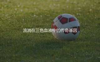 弗鲁米嫩塞队史知名球星有哪些？流淌在三色血液中的传奇基因