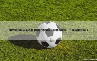 俄罗斯球队目前还能参加欧协联吗？一支球队的命运背后，体育与政治的交锋将走向何方？