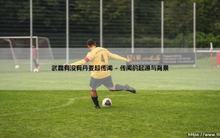 武磊是否转会丹麦超：武磊的丹麦超传闻全解析