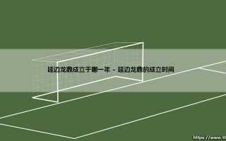 延边龙鼎成立于哪一年？这支球队背后的故事「延边龙鼎的诞生年份」揭秘
