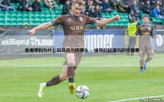 舍甫琴科为何风靡足坛？「乌克兰核弹头」这个霸气绰号是怎么来的？