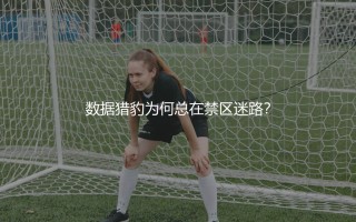 弗拉霍维奇到底强不强?数据猎豹为何总在禁区迷路?