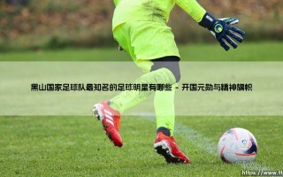 黑山国家足球队最知名的足球明星有哪些：一部微型巴尔干足球史诗
