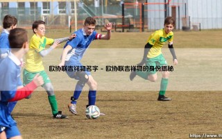 欧协联吉祥物名字：你知道它叫什么吗？- 探索「奥蒂」的由来与魅力