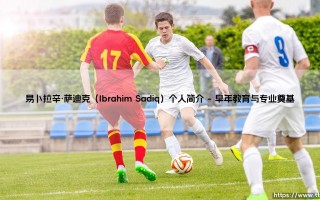 易卜拉辛·萨迪克个人简介：创新领袖易卜拉辛·萨迪克的崛起之路