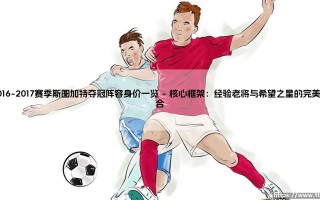 2016-2017赛季斯图加特夺冠阵容身价一览 - 这支德乙冠军的「含金量」究竟如何？