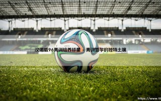 汉诺威96青训营走出的球星们