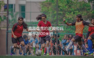 盘点厄瓜多尔队队史知名球星：南美基多高原雄鹰的逆袭密码