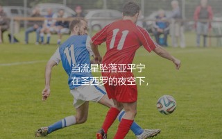 沙拉维为什么离开AC米兰?当流星坠落亚平宁