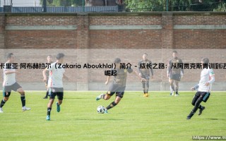 扎卡里亚·阿布赫拉尔（Zakaria Aboukhlal）简介——每日足球