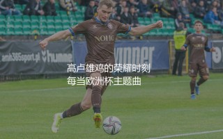 法国队几次欧洲杯冠军？高卢雄鸡的荣耀时刻