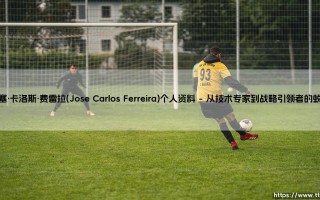 何塞·卡洛斯·费雷拉(Jose Carlos Ferreira)个人资料_足球早晚报