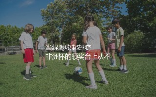 尼日利亚队几次非洲杯冠军？当绿鹰收起翅膀