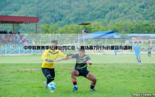 中甲联赛赛季纪律处罚汇总：透视赛场秩序的年度报告