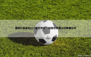 博格坎普参加过几届世界杯？深度解析「冰王子」的梦幻舞台！